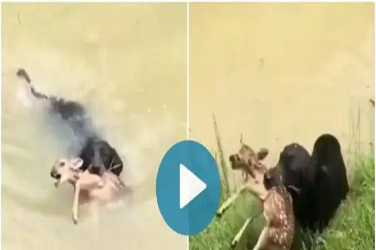 நெகிழ்ச்சி வீடியோ 
