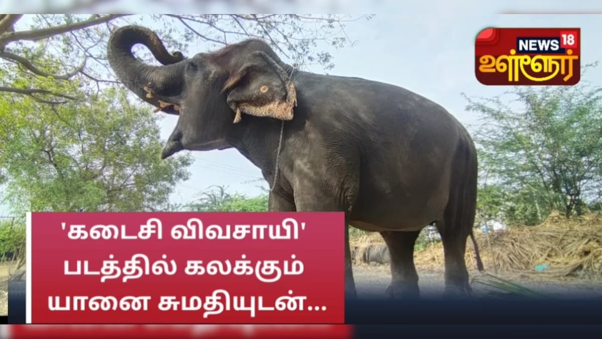 'கடைசி விவசாயி' படத்தில் கலக்கும் யானை சுமதியுடன் சந்திப்பு
