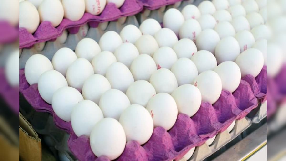 நாமக்கல் மண்டலத்தில் 5 நாட்களாக முட்டை விலையில் மாற்றமில்லை.. இன்றைய விலை என்ன?