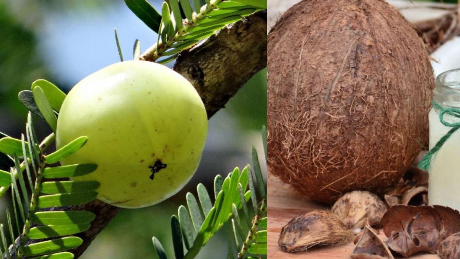 தைராய்டு ஆரோக்கியத்தை மேம்படுத்த சாப்பிட வேண்டிய முக்கிய உணவுகள்!