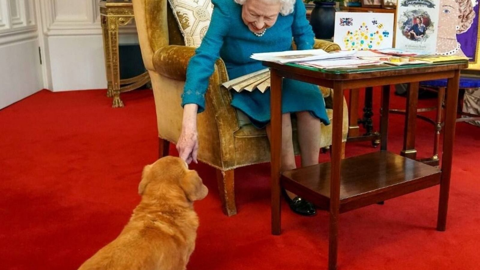 அழையாத விருந்தாளியைக் கண்டு மகிழ்ந்த ராணி இரண்டாம் எலிசபெத்!