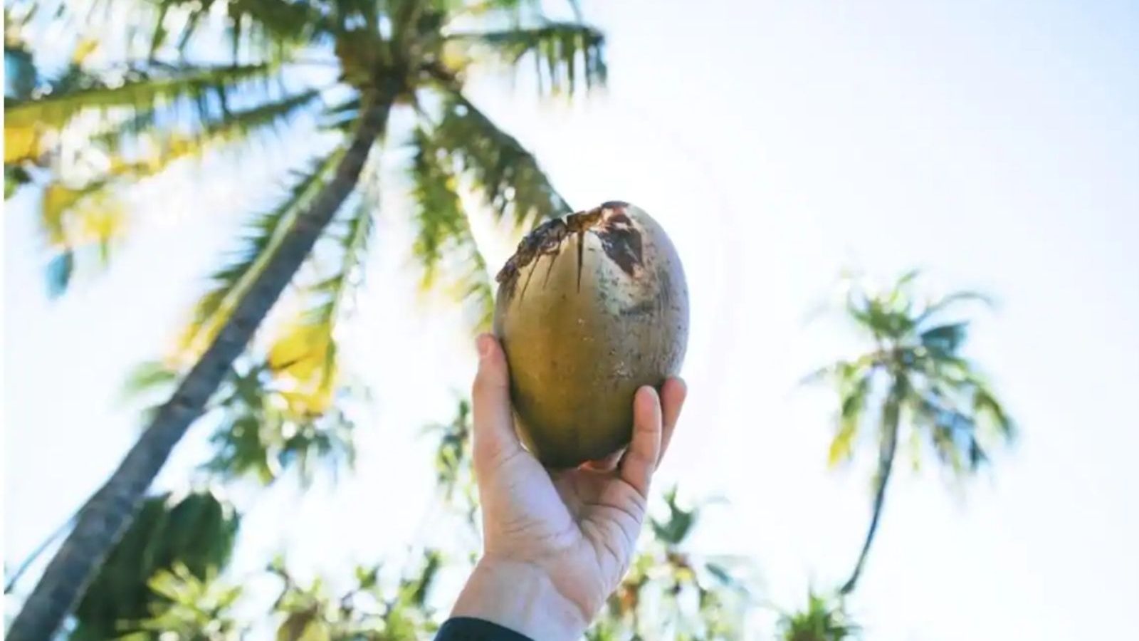 தைராய்டு பிரச்னை உள்ளவர்களுக்கு சிறப்பாக உதவும் தேங்காயின் நன்மைகள்!