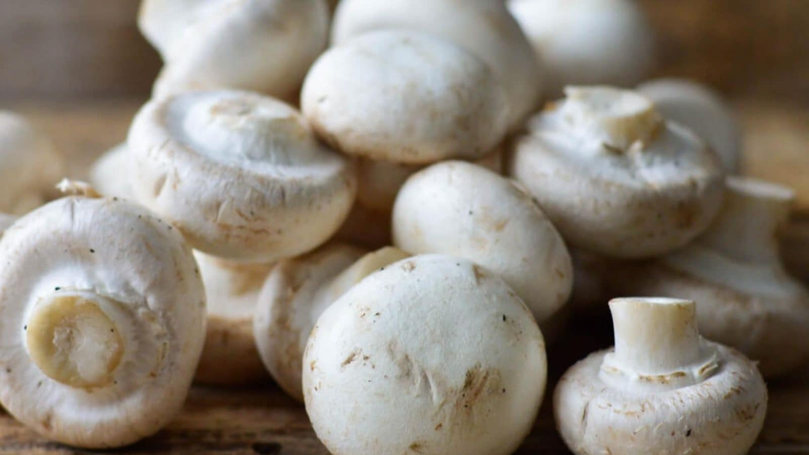 காளான் சாப்பிட்டால் குடல் நலன் மேம்படுகிறதாம்.. இனி மிஸ் பண்ணவே மாட்டீங்க..!