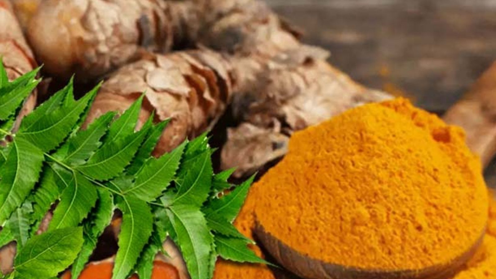 நோய்களில் இருந்து தப்பிக்க வேப்பிலை, மஞ்சள் இருந்தால் போதும்… ஏன் தெரியுமா..?