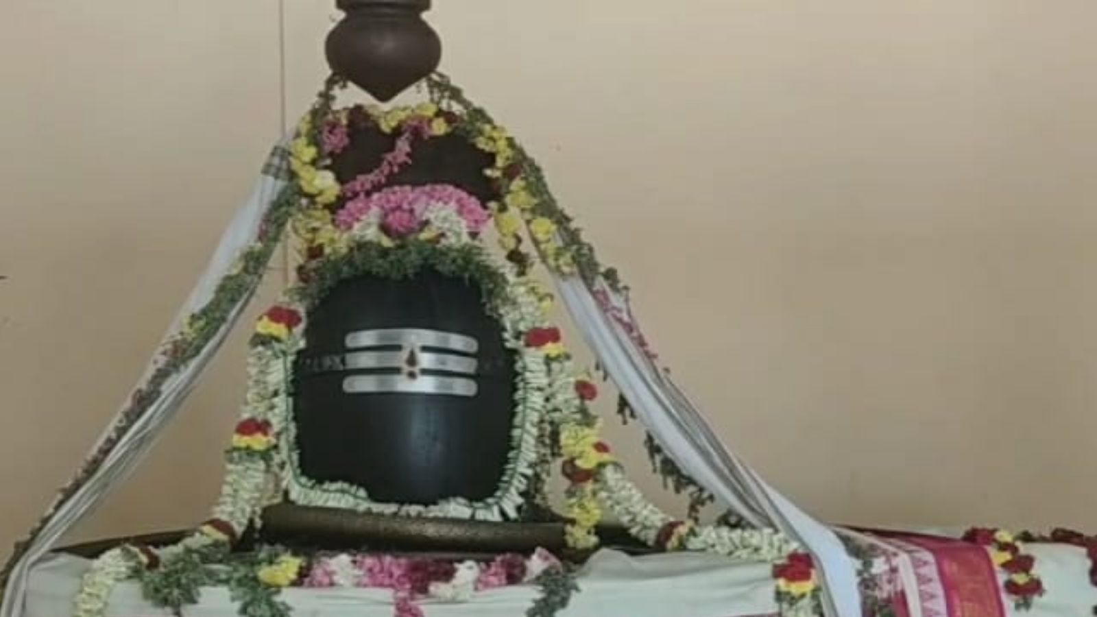 சிவலிங்கத்தின் மீது வைக்கப்படும் மலர்கள் வாடாமல் துளிர்விடும் அதிசயம்...