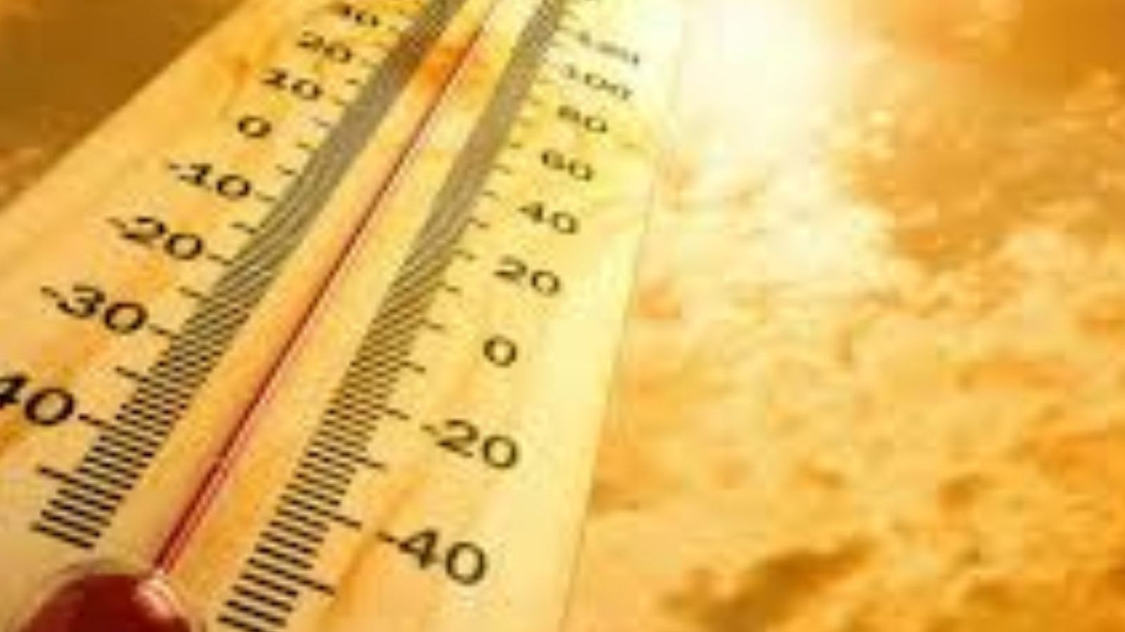 Job : புவி அறிவியலில் ஆய்வு செய்ய விருப்பமா? கட்டாயம் இதற்கு விண்ணப்பிங்க