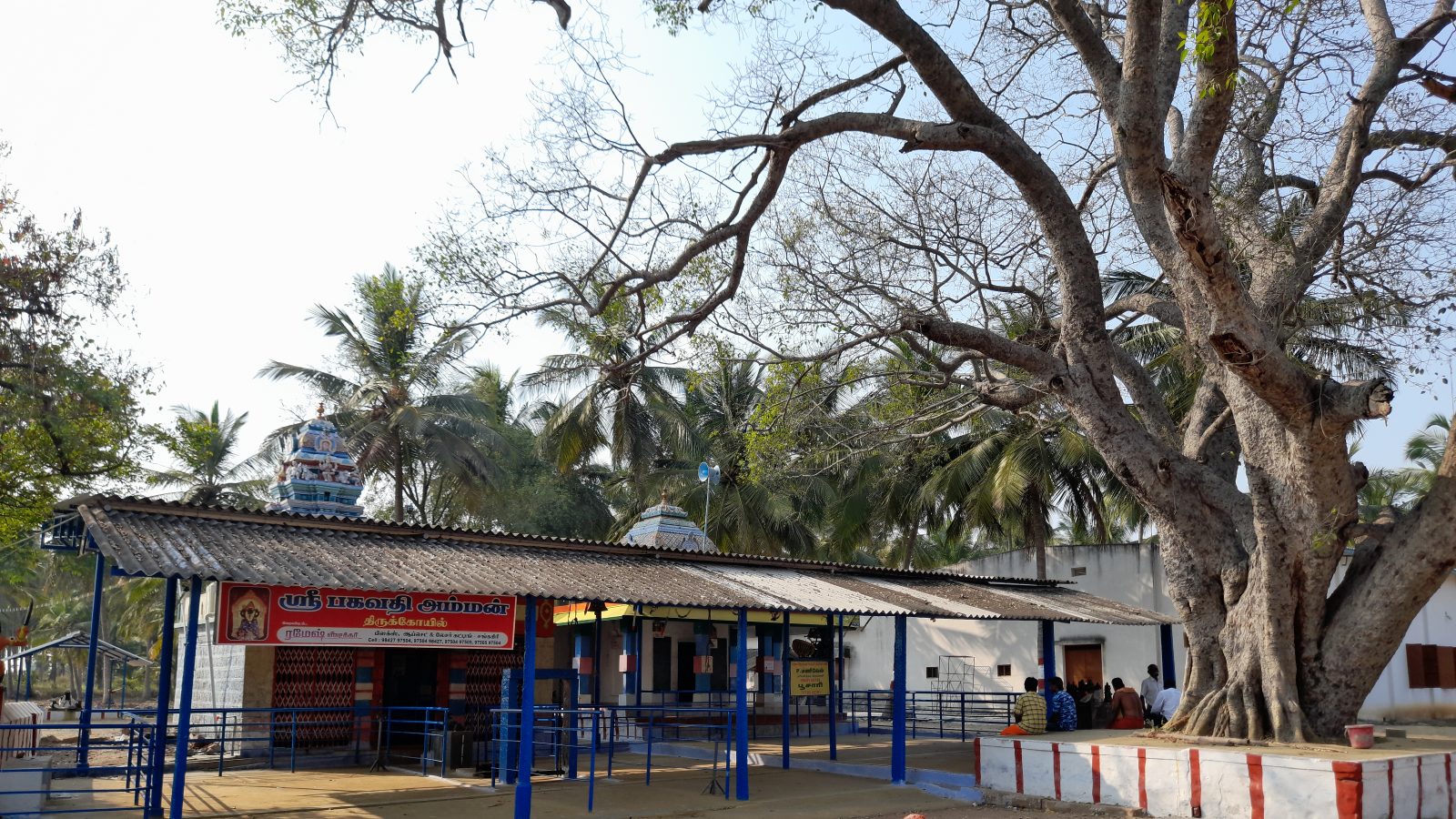 கேரள சோட்டானிக்கரை கோயிலுக்கு மாற்றான நாமக்கல் நீரோடும் பகவதியம்மன் கோயில்!!