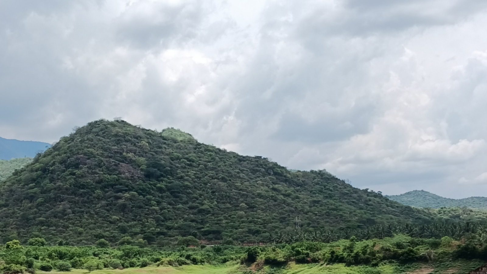 90 அடிக்கும் கீழே சென்ற சோத்துப்பாறை அணை நீர்மட்டம் - பிற அணைகளின் நீர்மட்டம் எவ்வளவு?