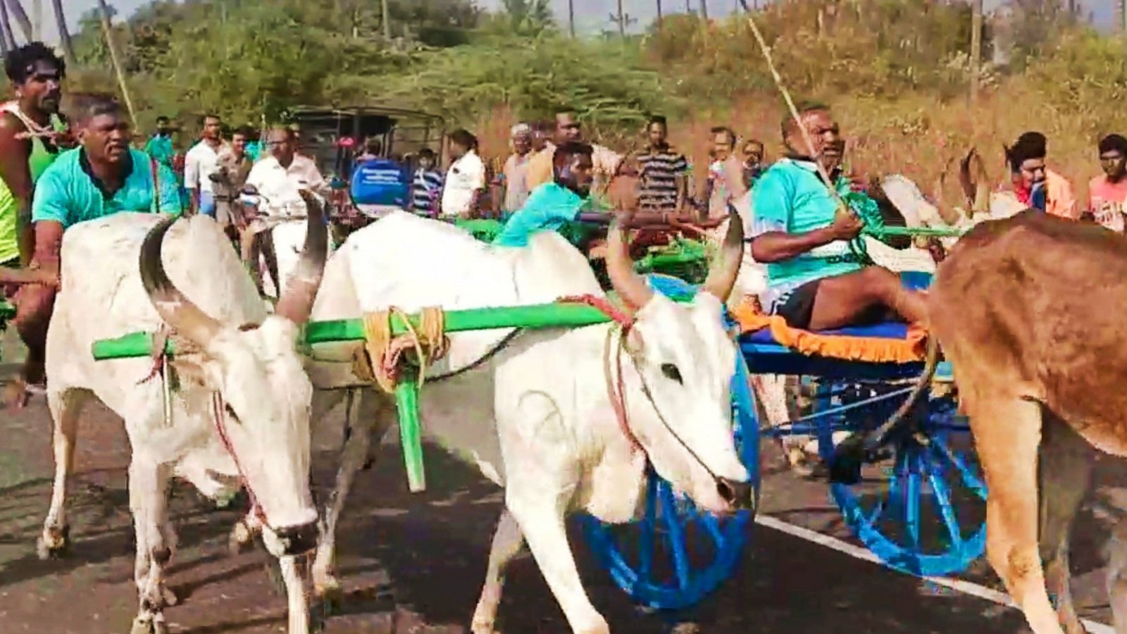 தேவாரத்தில் திமுகவினர் நடத்திய இரட்டை மாட்டு வண்டி பந்தயம்.. கம்பம், ஆண்டிப்பட்டி எம்.எல்.ஏக்கள் முன்னிலை..  