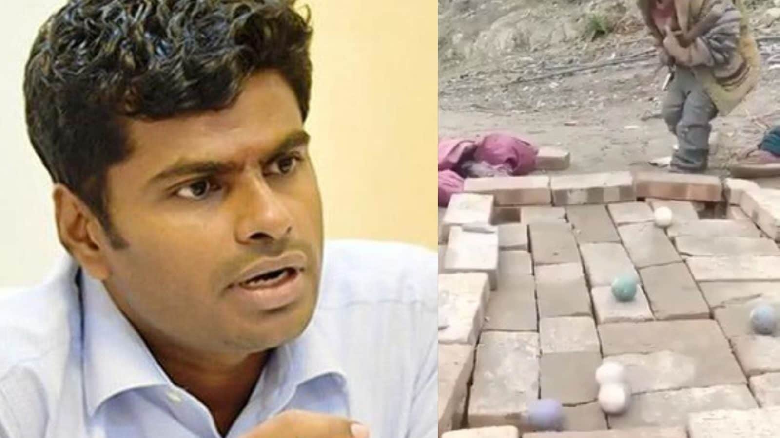 'சிறுவனின் திறமைக்கு மரியாதை' ட்விட்டரில் அண்ணாமலை பதிவிட்ட கியூட் வீடியோ