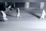 சிஆர்பிஎஃப் முகாம் மீது குண்டு வீசிய பெண்!