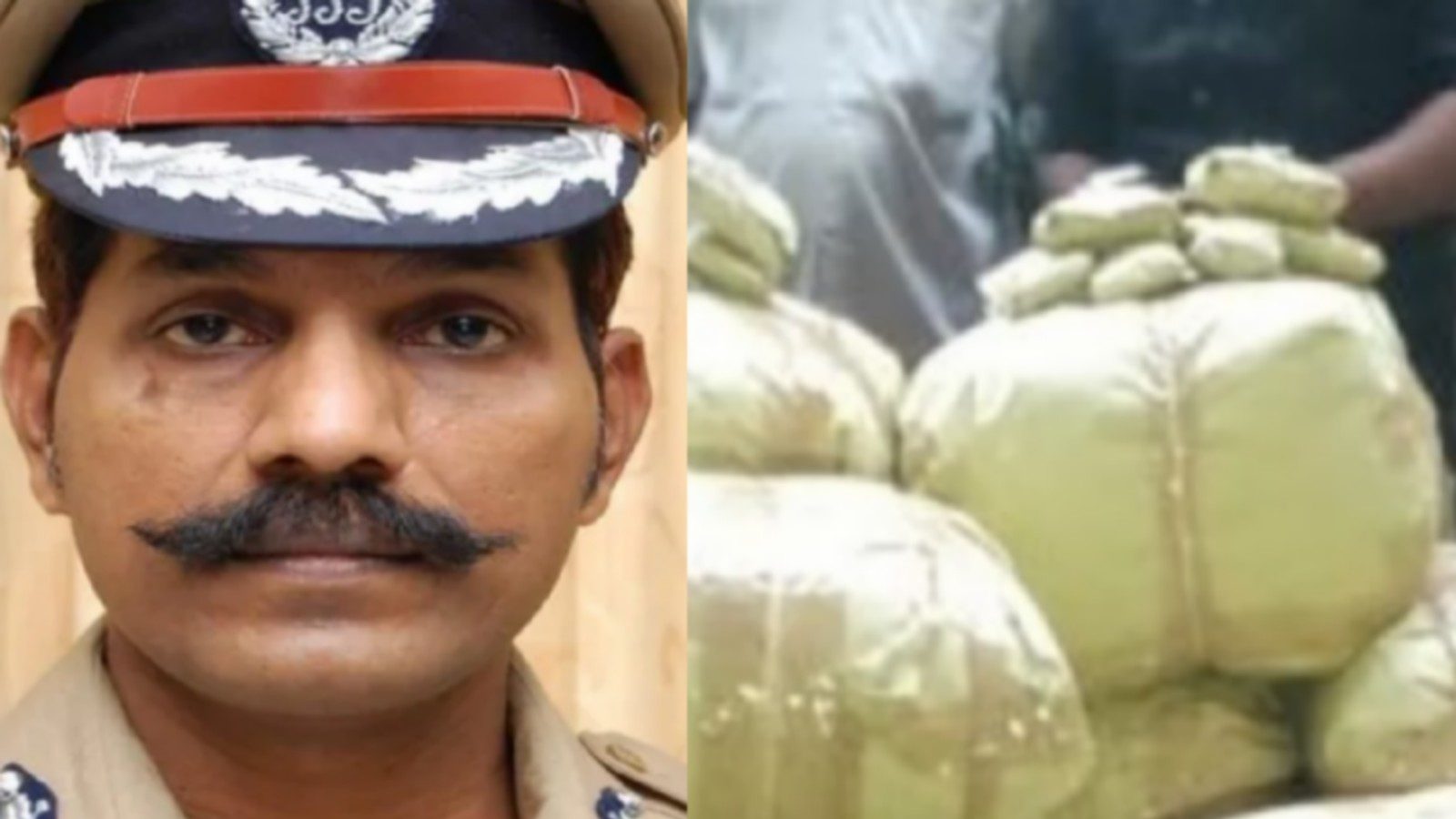 ‘ஆப்ரேஷன் கஞ்சா வேட்டை 2.0’ - டி.ஜி.பி சைலேந்திரபாபு அதிரடி உத்தரவு