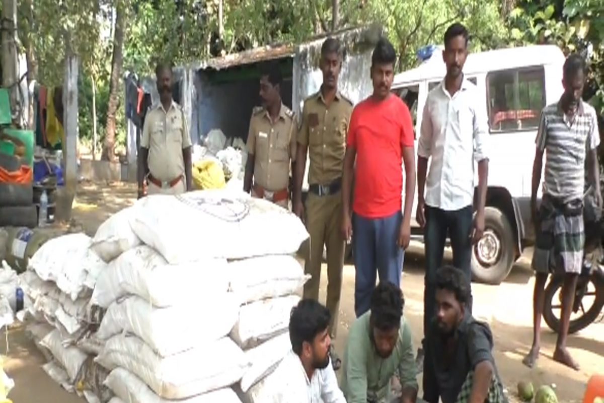 மாந்தோப்பை குத்தகைக்கு எடுத்து குட்கா பதுக்கல்