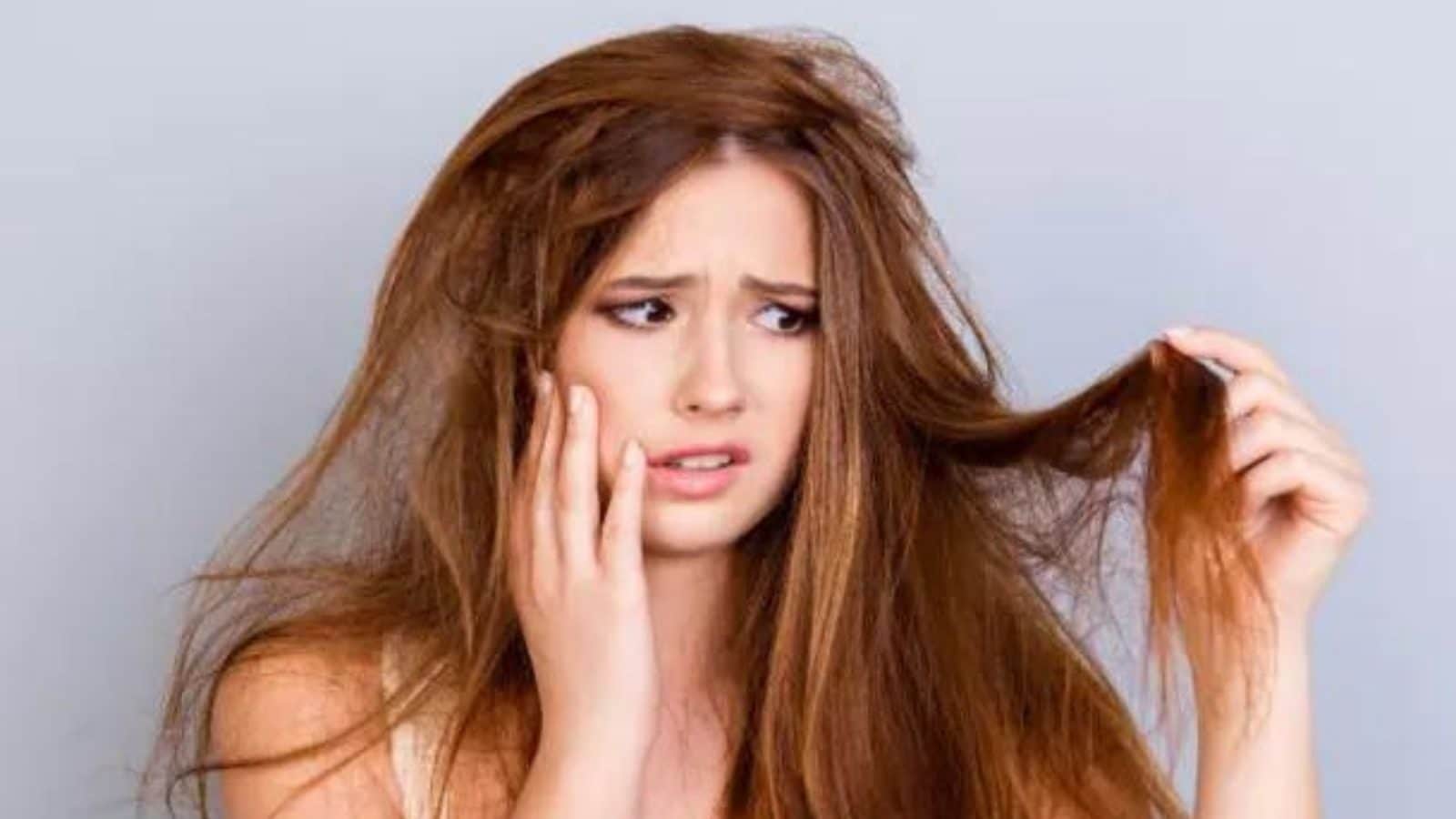 Hair Care : கண்டிஷனிங்கிற்கு பின்னும் உங்கள் தலைமுடி வறண்டு காணப்படுகிறதா.? இந்த டிப்ஸ்களை முயற்சித்து பாருங்கள்