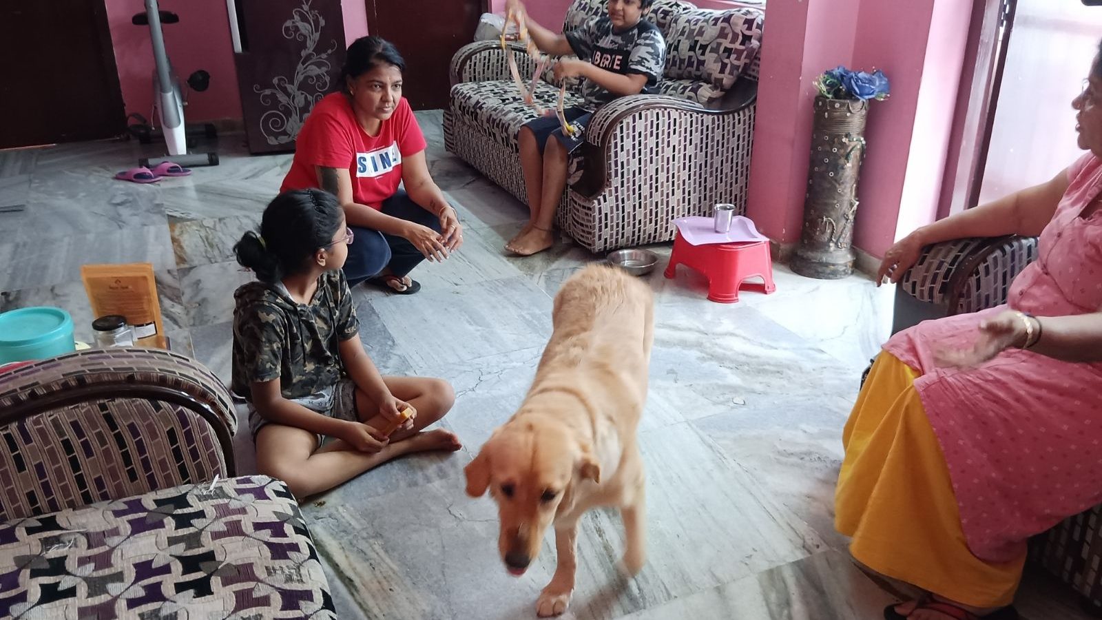 சொமோட்டோ ஊழியர் தூக்கி சென்ற நாய் பத்திரமாக மீட்பு... அமைச்சர் பி.டி.ஆரின் பதிவு வைரல்!