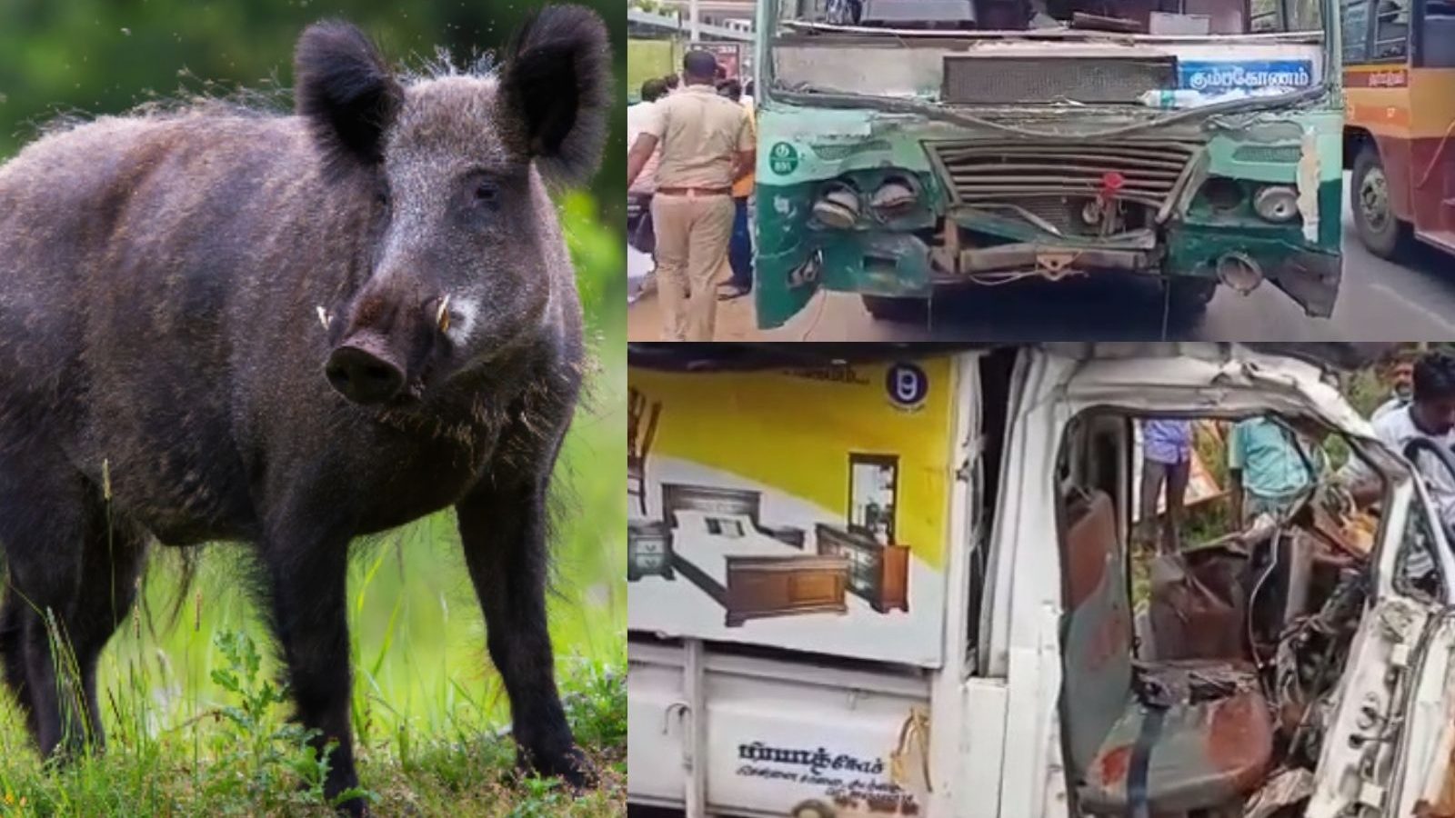 பன்றி குறுக்கே வந்ததால் நேர்ந்த விபத்து : மினி வேன் மீது அரசு பேருந்து மோதி 2 பேர் உயிரிழப்பு