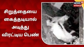 சிறுத்தையை கைத்தடியால் அடித்து விரட்டிய பெண் - வைரல் வீடியோ