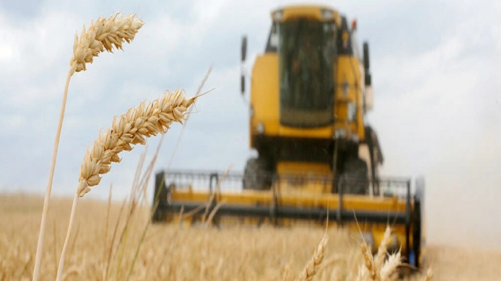 இலங்கை மட்டுமல்ல: உலகிற்கே உணவுப்பஞ்சம் ஏற்படும் அபாயம்: நிபுணர்கள் எச்சரிக்கை