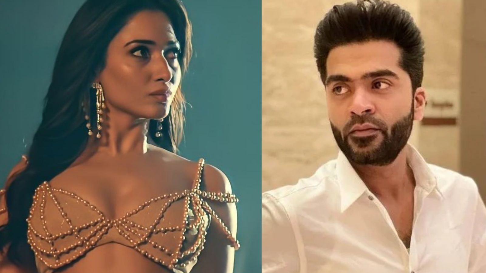 சிம்புவுடன் மட்டும்தான் கெமிஸ்ட்ரி வொர்க் அவுட் ஆகல - தமன்னா