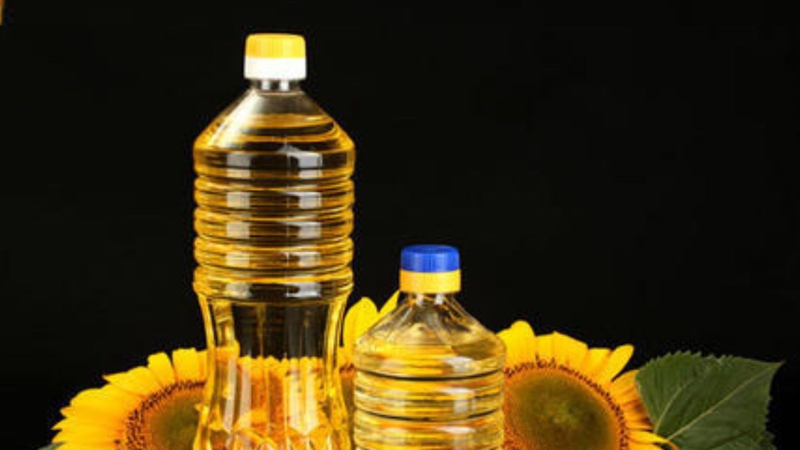 ரஷ்யா - உக்ரைன் போர் காரணமாக சூரியகாந்தி எண்ணெய் விலை கிடுகிடு உயர்வு.!!