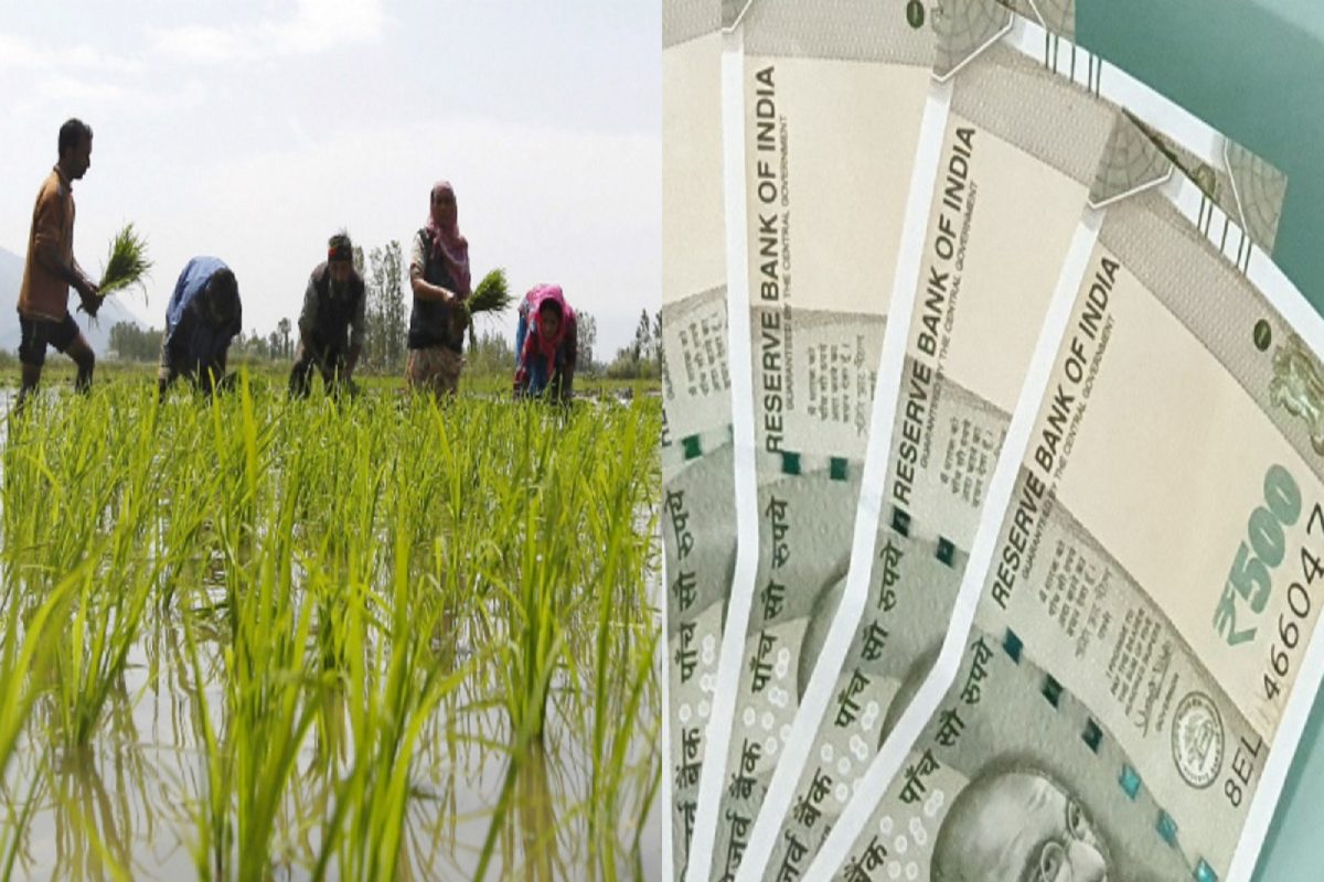 PM-Kisan திட்டம் - விவசாயிகள் eKYC-ஐ ஆன்லைனில் அப்டேட் செய்வது எப்படி!