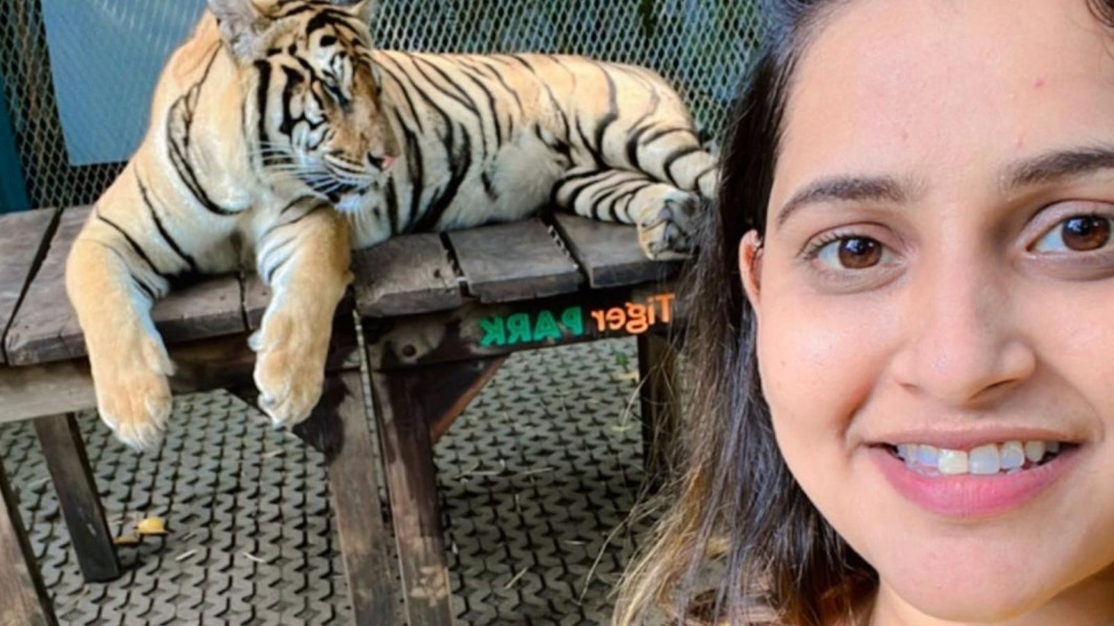 விஜய் டிவி ஜாக்குலினுக்கு தில்ல பாத்தீங்களா? வைரலாகும் படங்கள்!