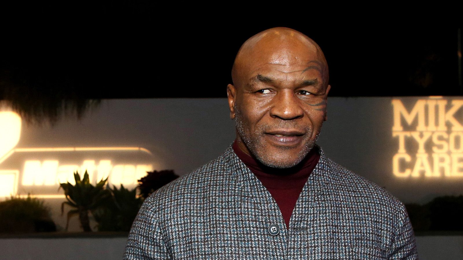 விமானத்தில் சக பயணிக்கு சரமாரியாக குத்து விட்ட மைக் டைசன்... தீயாய் பரவும் வீடியோ