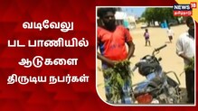 வடிவேலு படபாணியில் ஆடுகளை திருடிவந்த நபர்கள் மாட்டிகொண்ட ருசிகரசம்பவம்