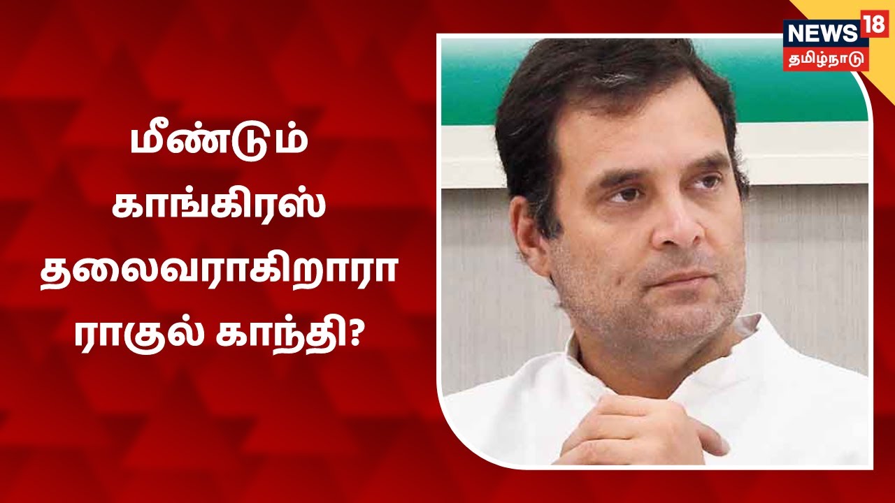 மீண்டும் காங்கிரஸ் தலைவராகிறாரா ராகுல் காந்தி?