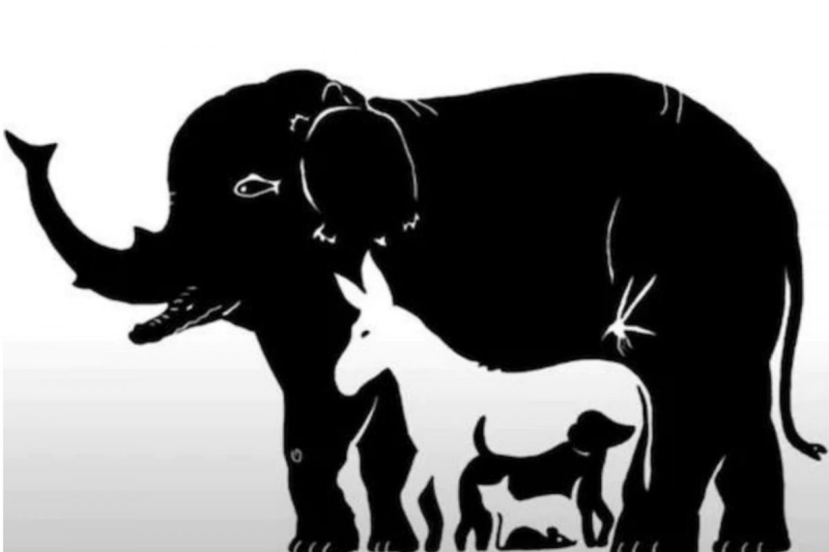 ஆப்டிகல் புகைப்டம்
