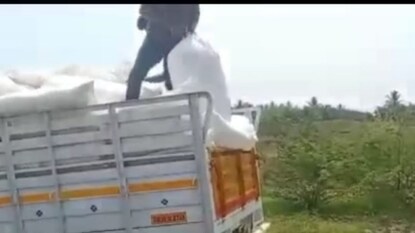 சம்பங்கி பூக்கள்