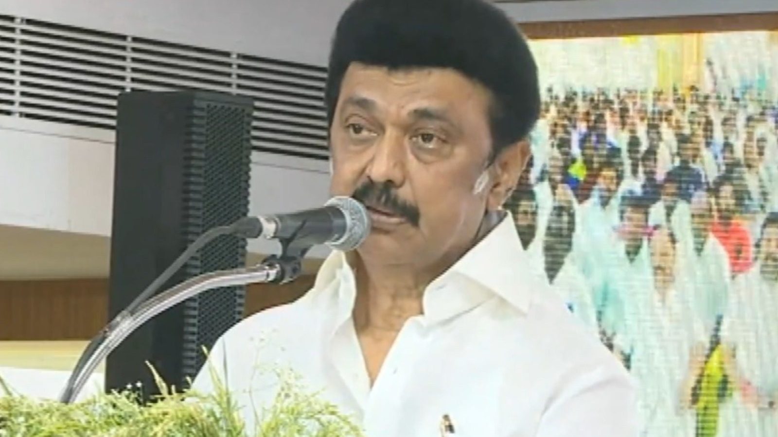 From video to artist TV … Enjoy the Trichy Government Festival GTN News