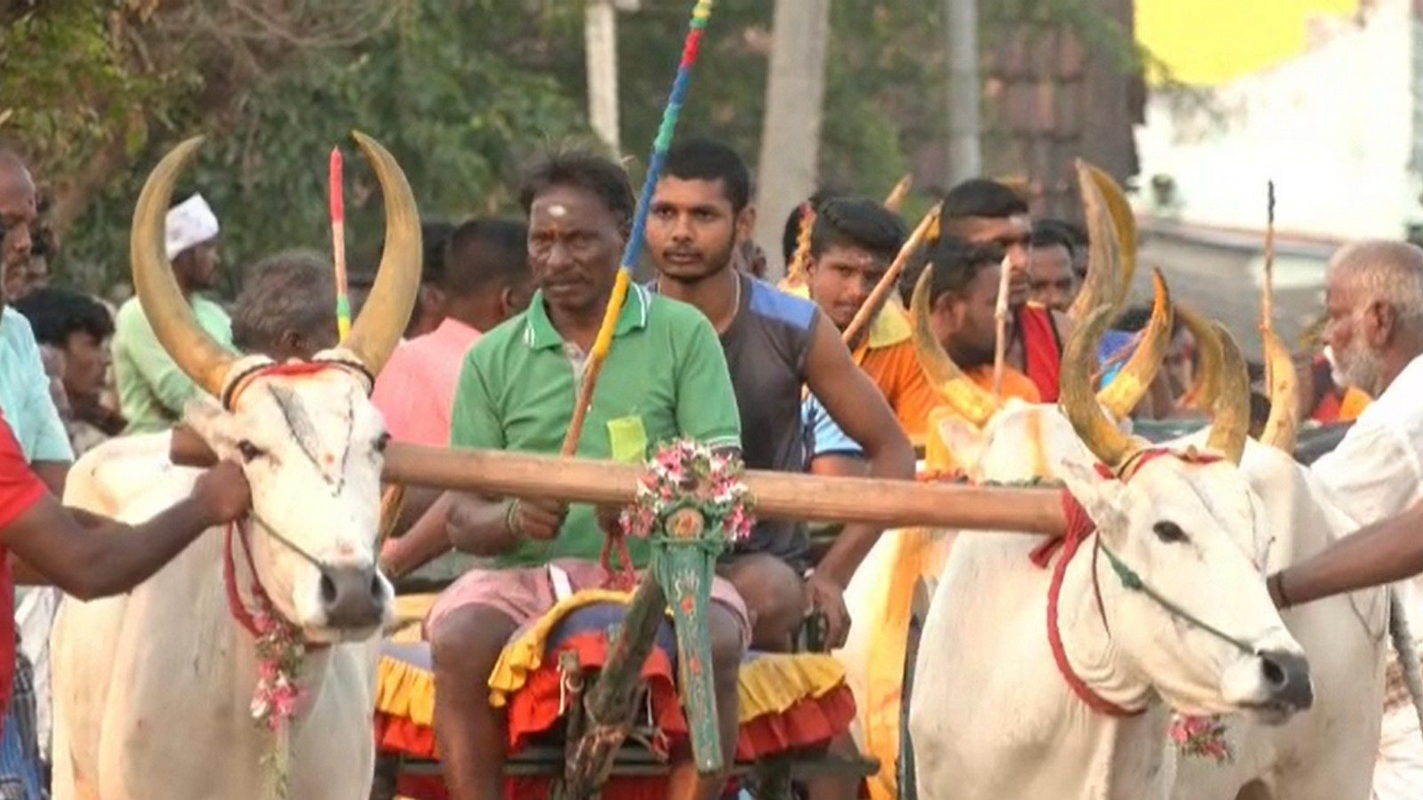 புதுக்கோட்டை அருகே மாட்டு வண்டி பந்தயம்.. சீறிப்பாய்ந்த மாடுகள்.. பார்வையாளர்கள் உற்சாகம்