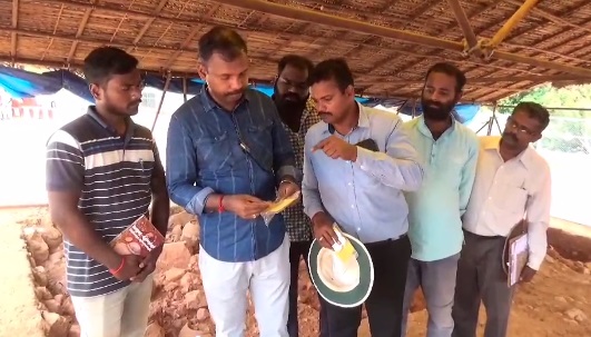  இந்த நாணயங்கள் ஆதிச்சநல்லூரில் சங்க காலத்தில் மக்கள் வாழ்ந்ததையும் கடல் சார் வாணிபம் நடந்ததையும் உறுதிப்படுத்தும் விதமாக உள்ளதாக அதிகாரிகள் தெரிவித்துள்ளனர்.