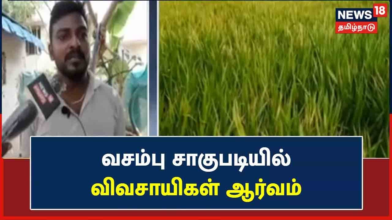 வசம்பு சாகுபடி செய்வதில் விவசாயிகள் ஆர்வம்