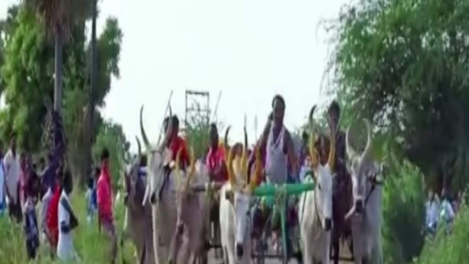 கீழப்பூலாங்கால் மாட்டு வண்டி பந்தயம்; ஏராளமான காளைகள் பங்கேற்பு