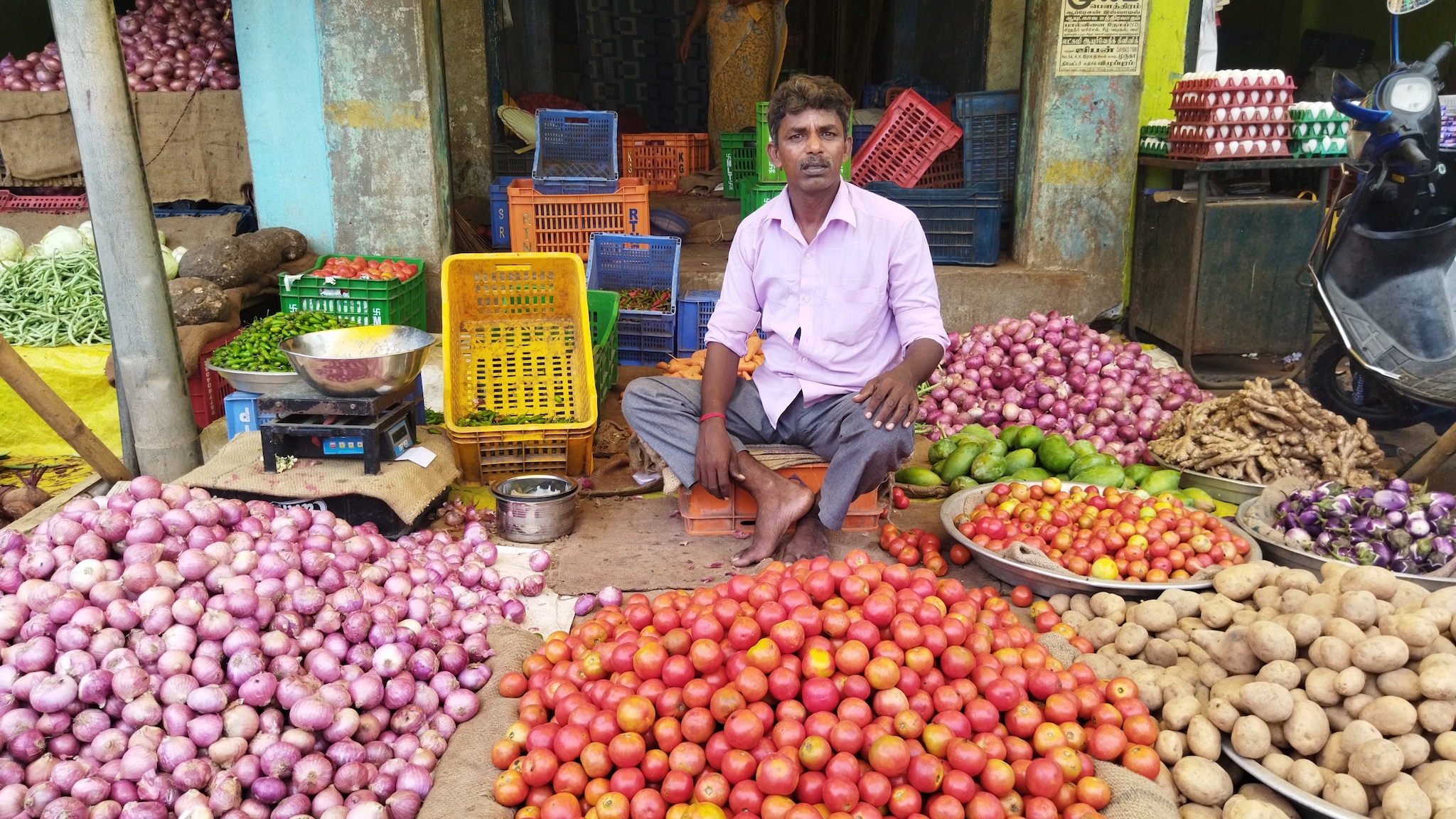 Gradual increase in the price of tomatoes - 70 rupees per kilo of tomatoes sold