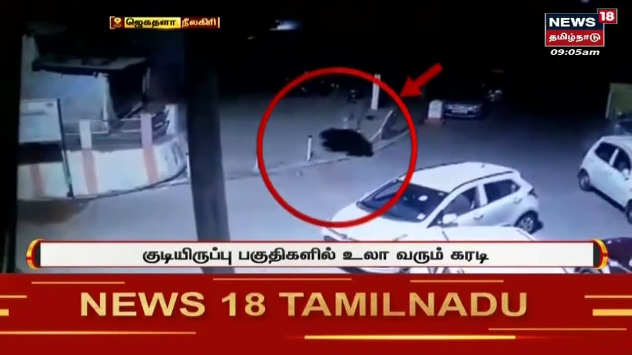 நீலகிரியில் வீட்டின் கதவை தட்டும் கரடி ! - சிசிடிவி காட்சிகள்