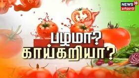 தக்காளியின் சொந்த ஊர் இந்தியா இல்லை - தக்காளி பற்றிய சுவாரஸ்யமான தகவல்