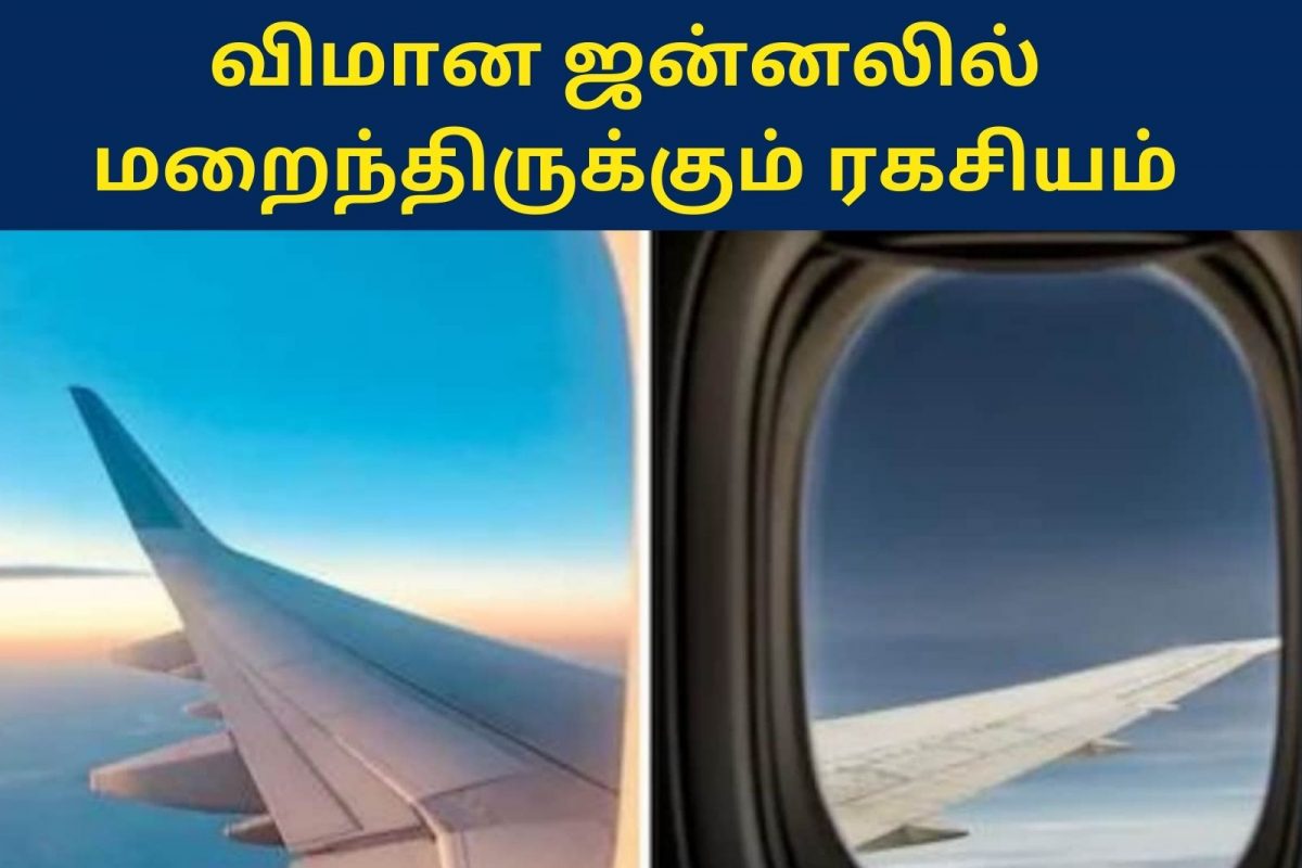 மாதிரி படம்