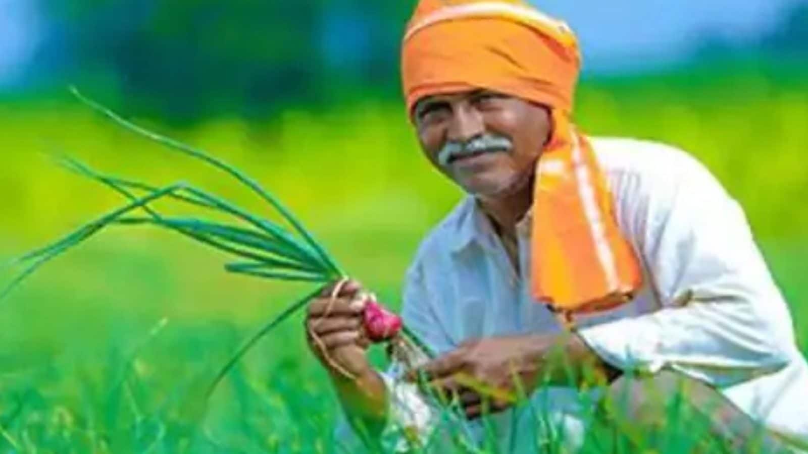 விவசாயிகளுக்கு மத்திய அரசு வழங்கும் ரூ.2,000 உதவித்தொகை - வங்கிக் கணக்கில் செலுத்தப்படும் தேதி குறித்து வெளியான தகவல்