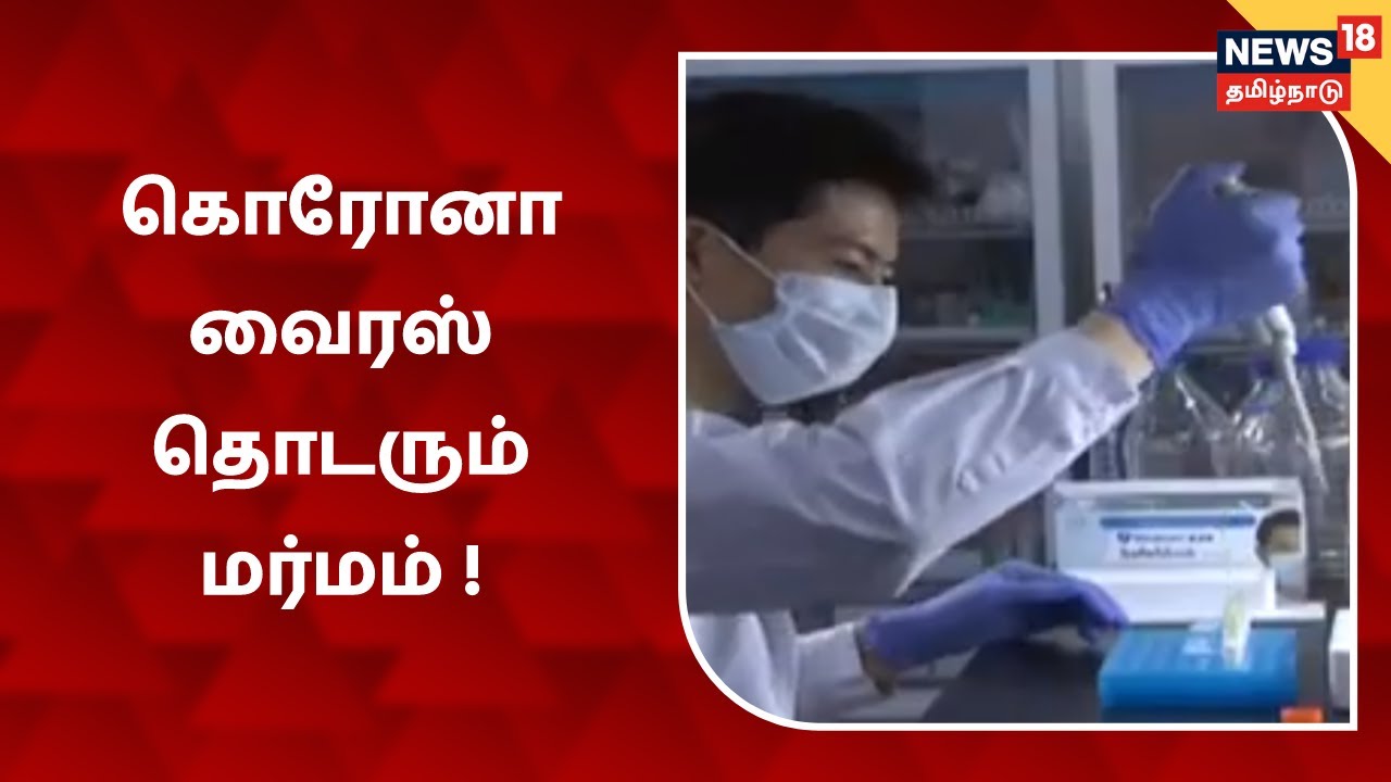 கொரோனா வைரஸ் தொடரும் மர்மம்.!