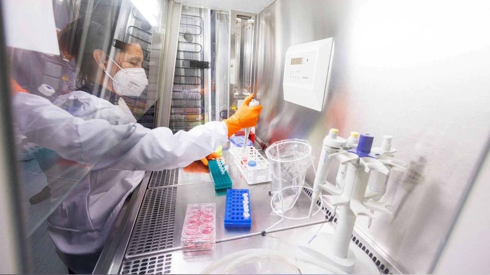 இது வெறும் ட்ரைலர்தான்.. மங்கிபாக்ஸ் வைரஸ் குறித்து WHO புதிய எச்சரிக்கை