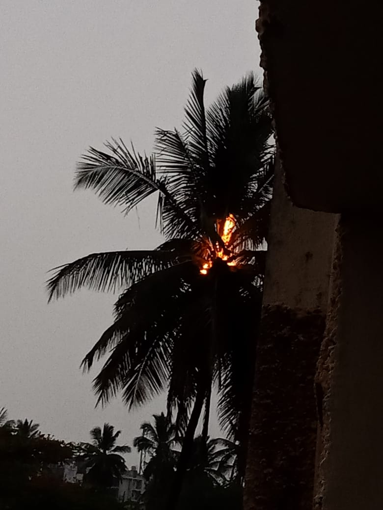  இடி, மின்னலுடன் கூடிய மழை பெய்யும்போது சில நேரங்களில் இடி, மின்னல் தாக்கி பாதிப்புகள் ஏற்படும்.