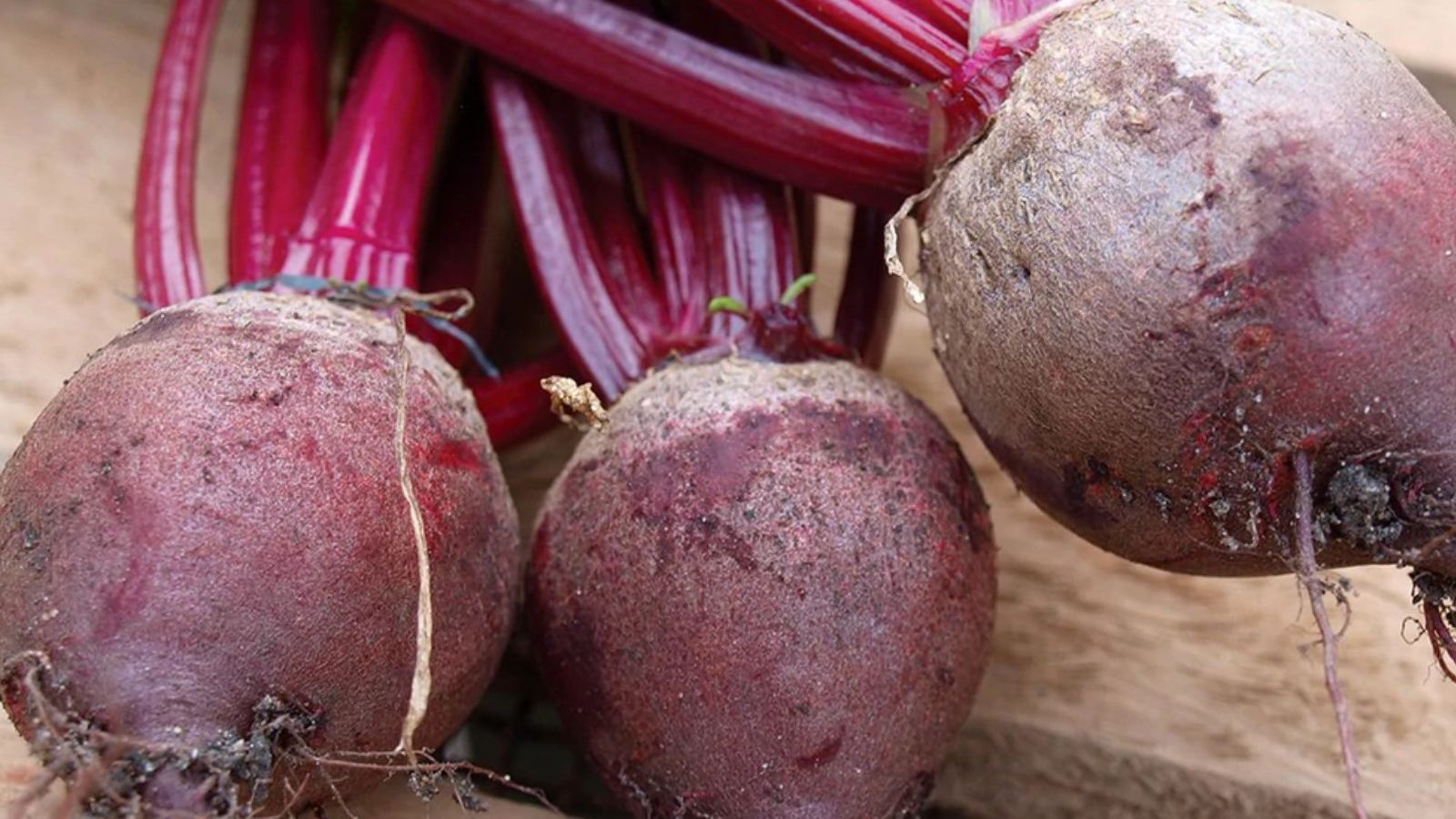 மறதி நோயை தடுக்கும் பீட்ரூட்... 30 வயதைக் கடந்தவர்கள் கட்டாயம் சாப்பிடனும் : பிரபல மருத்துவரின் பரிந்துரை..!