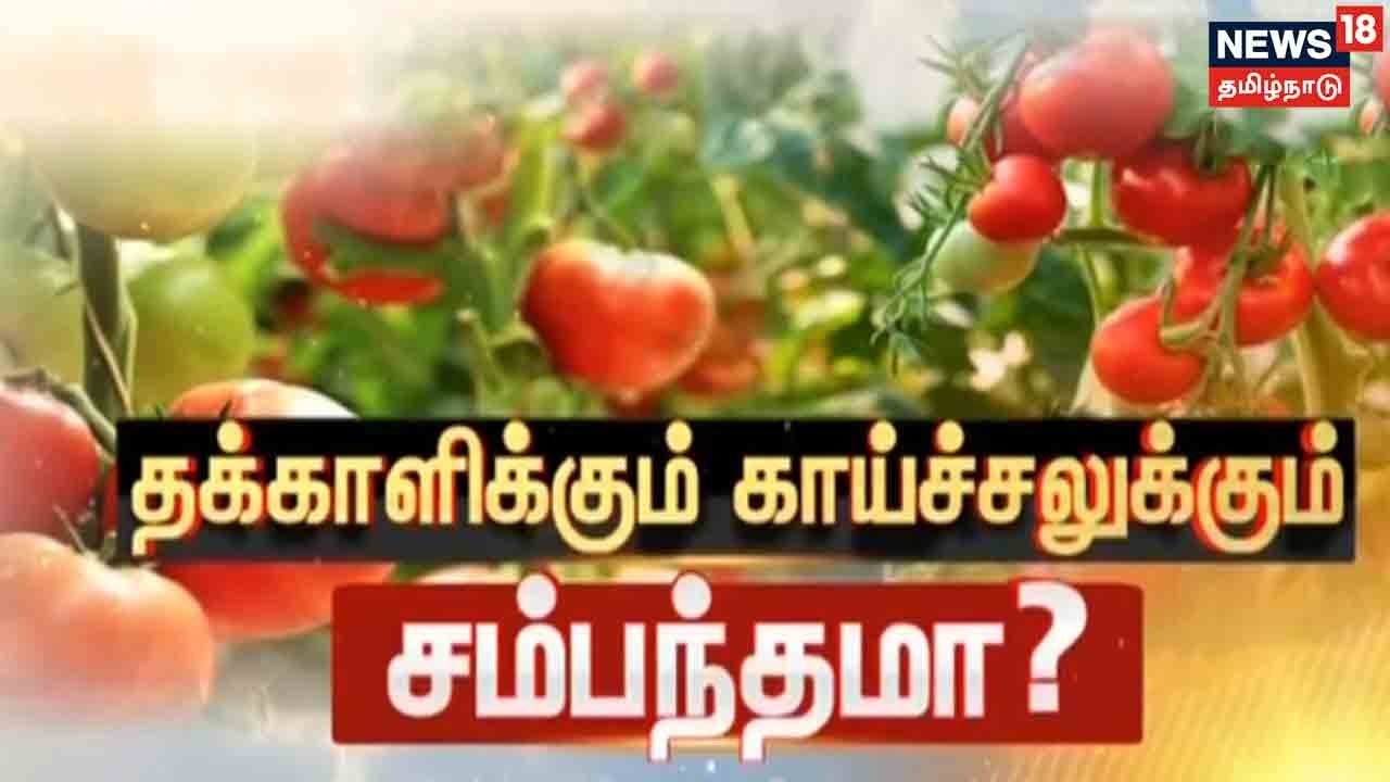 தக்காளிக்கும் காய்ச்சலுக்கும் சம்பந்தமா? - கேரளாவில் பரவும் தக்காளி வைரஸ்
