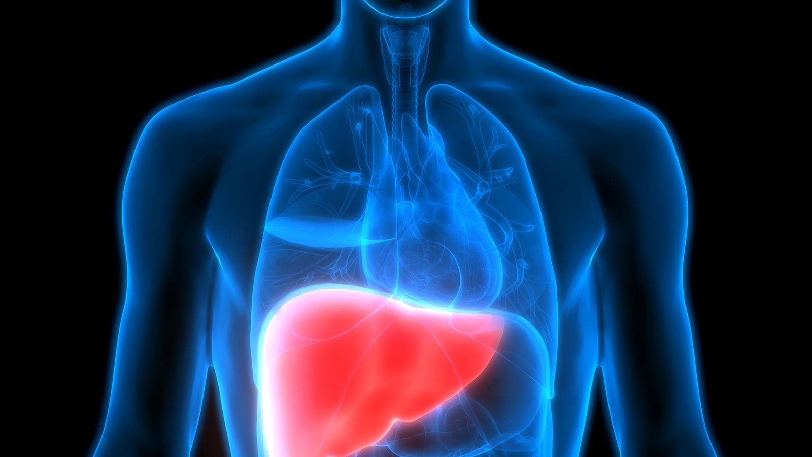 கல்லீரல் ஊட்டச்சத்து குறித்து நீங்கள் ஏன் அதிக கவனம் செலுத்த வேண்டும்.. இங்கே காண்போம்