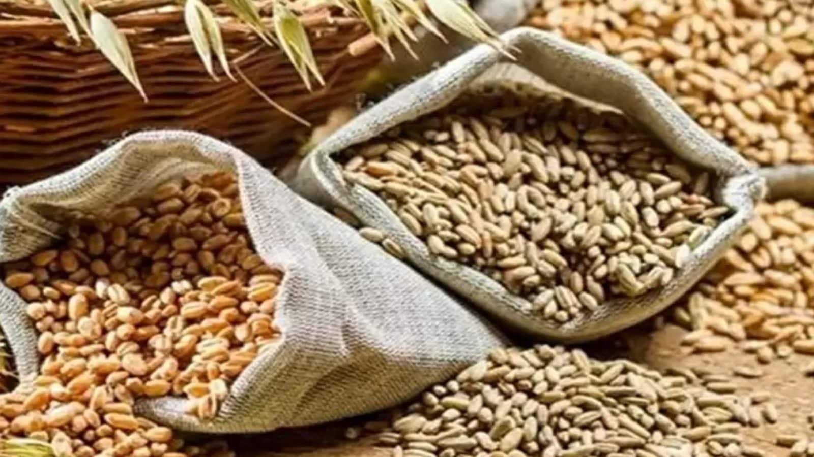 கோதுமை ஏற்றுமதிக்கு அதிரடியாக தடை விதித்த மத்திய அரசு