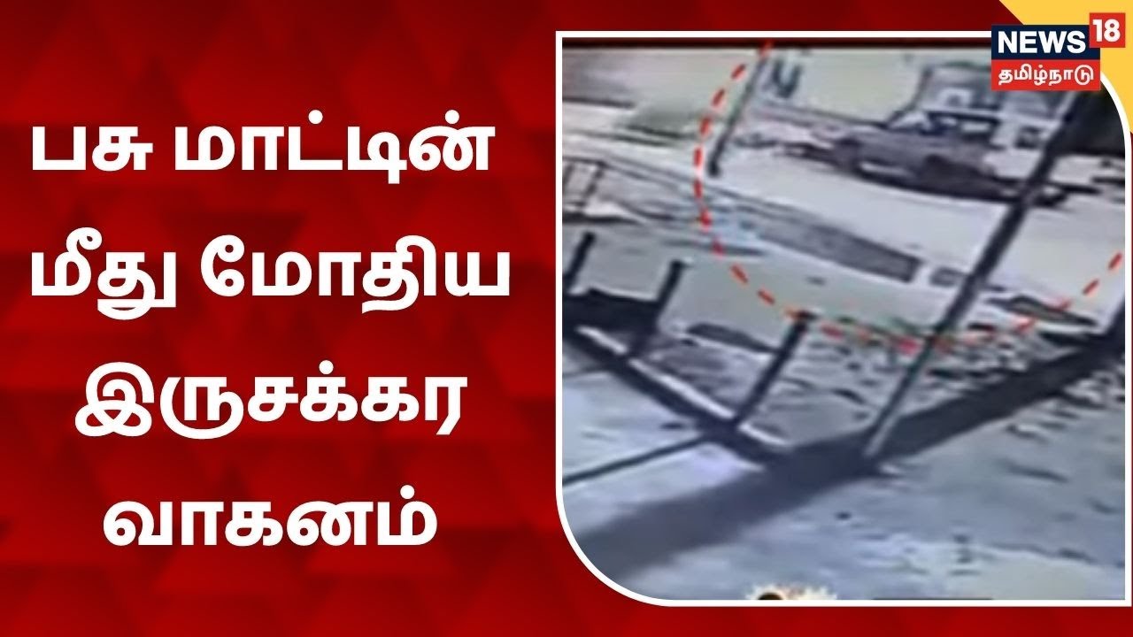 பசு மாட்டின் மீது மோதிய இருசக்கர வாகனம்