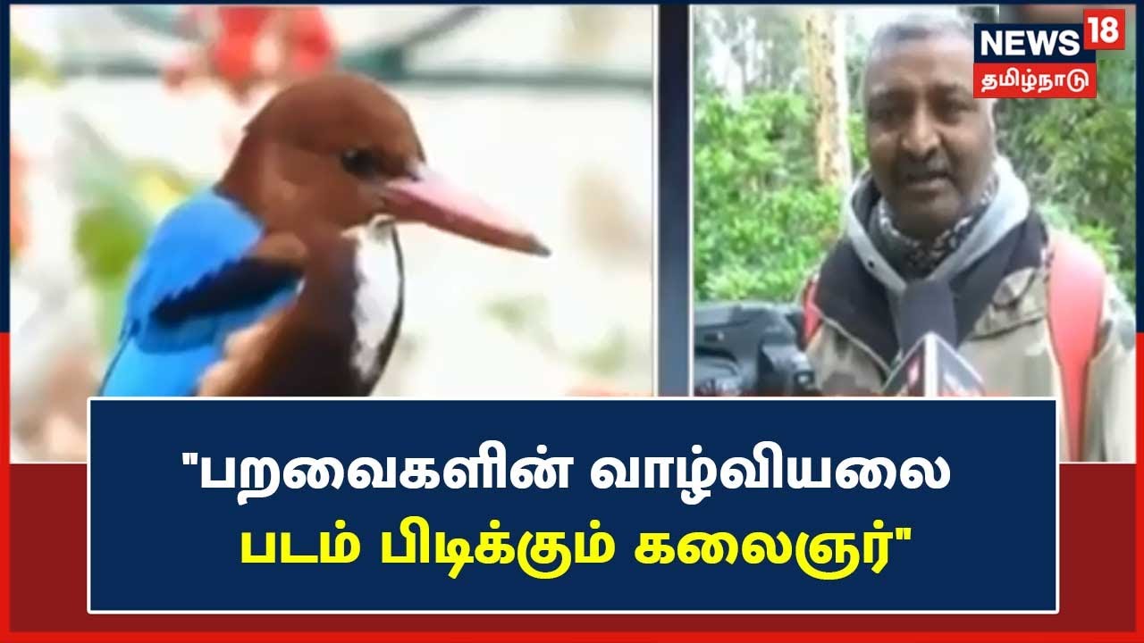 அரியவகை பறவைகளை ஆவணப்படுத்தும் புகைப்படக்கலைஞர்..